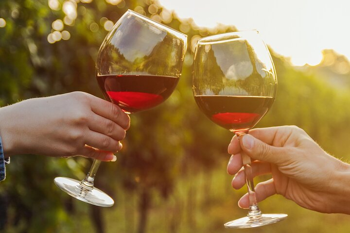 A Wine Tasting Experience in the Vineyards of the Desert - Photo 1 of 7